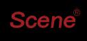 Scene